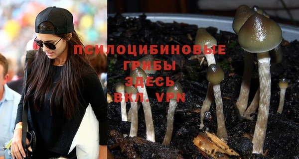бошки Кулебаки